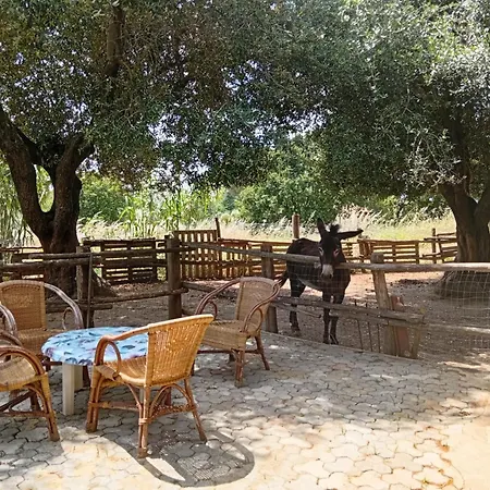 Alloggio per agriturismo Heaven *