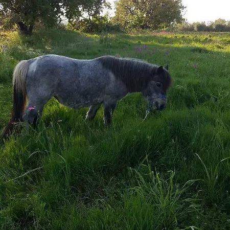 Heaven Capo Vaticano
