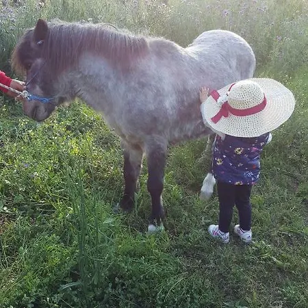 Heaven Фермерский дом